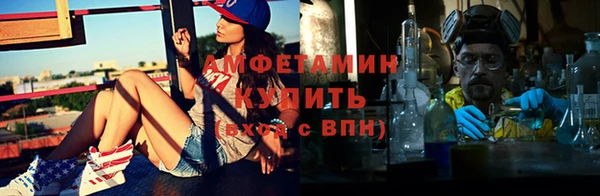 стаф Бородино