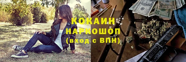 стаф Бородино