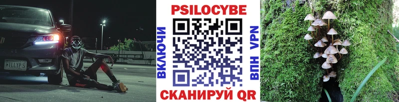 даркнет сайт hydra ссылки Псилоцибиновые грибы Cubensis Власиха